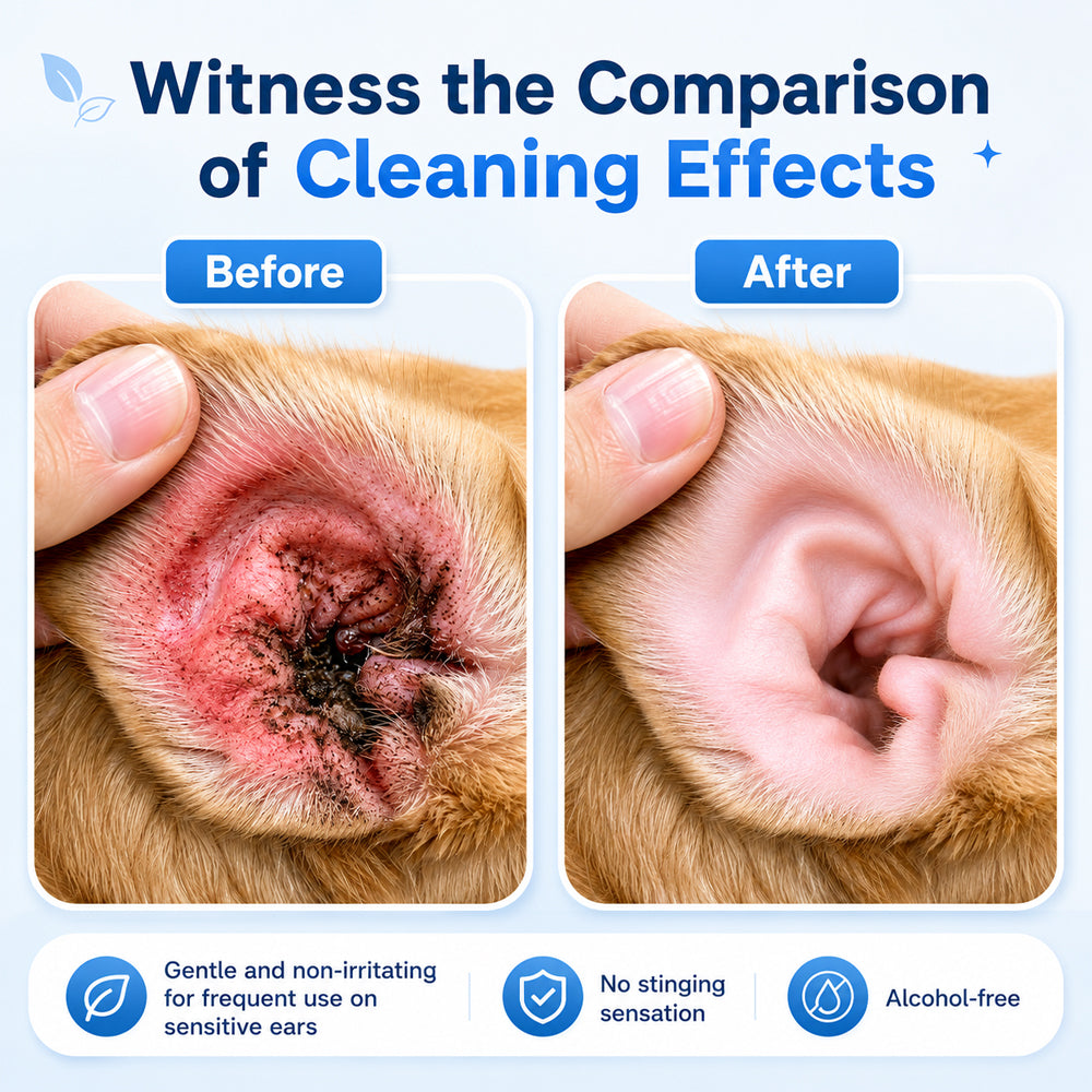 Pet Ear Cleansing Solution
